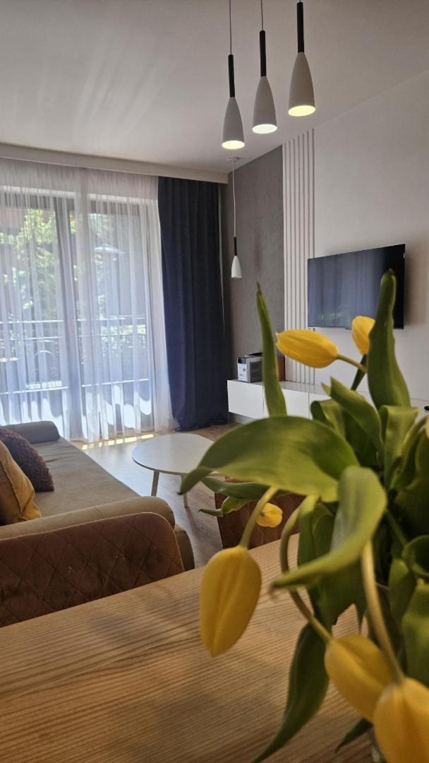Apart4You Apartamenty Bulwary25 Zakopane Chambre photo